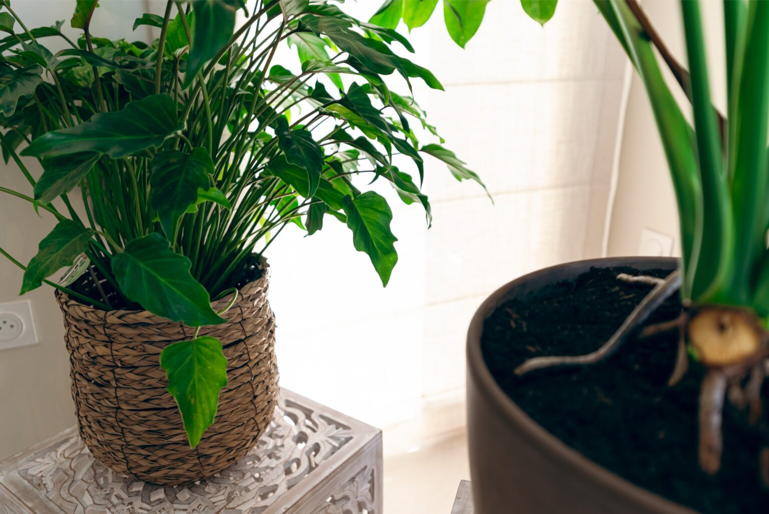 bali-room-appart-hotel-ferte-gaucher-location-saisonniere-airbnb-meuble-dsc02778-hdr