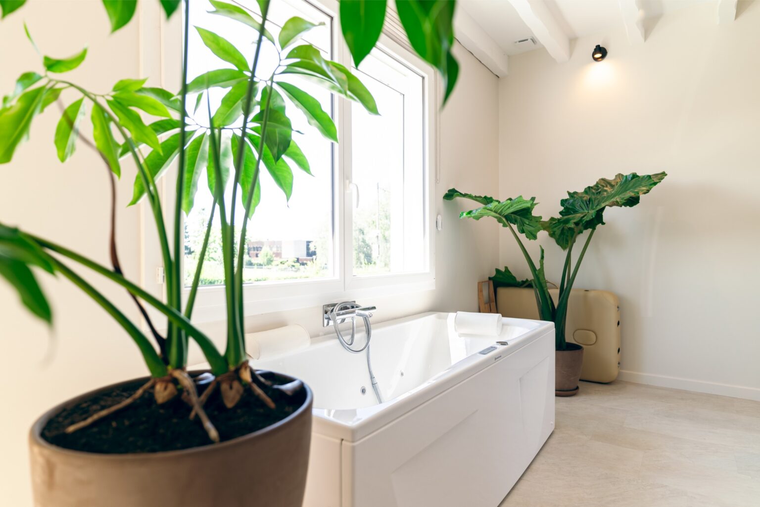 bali-room-appart-hotel-ferte-gaucher-location-saisonniere-airbnb-meuble-dsc02781-hdr